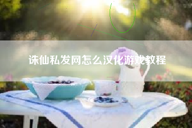 诛仙私发网怎么汉化游戏教程