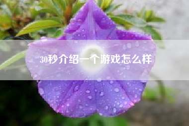 30秒介绍一个游戏怎么样