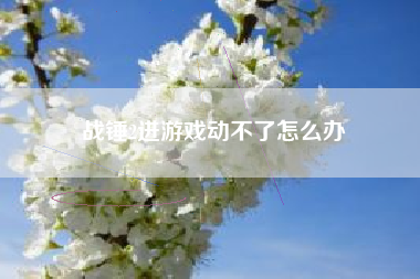 战锤2进游戏动不了怎么办