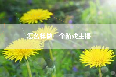 怎么样做一个游戏主播