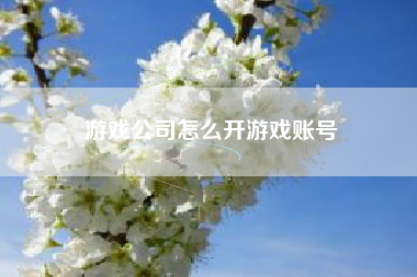 游戏公司怎么开游戏账号