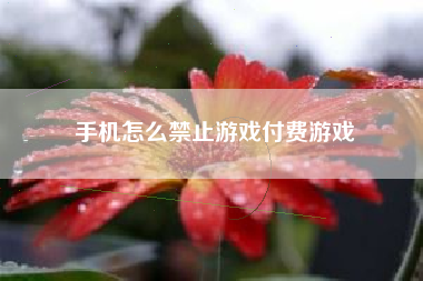 手机怎么禁止游戏付费游戏