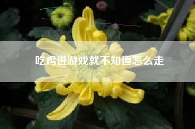 吃鸡进游戏就不知道怎么走