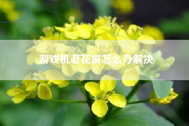 游戏机老花屏怎么办解决