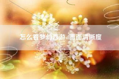 怎么看梦幻西游sf画面清晰度
