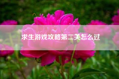 求生游戏攻略第二关怎么过