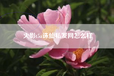 火影t5a诛仙私发网怎么样