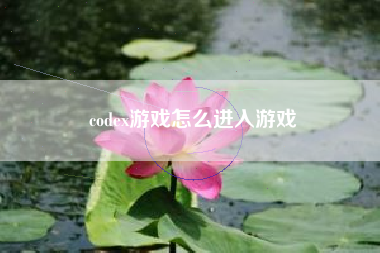 codex游戏怎么进入游戏