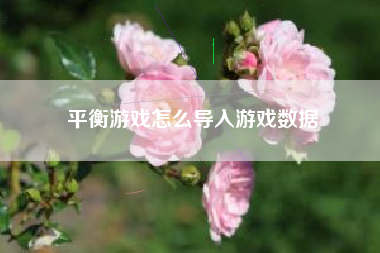 平衡游戏怎么导入游戏数据  第1张