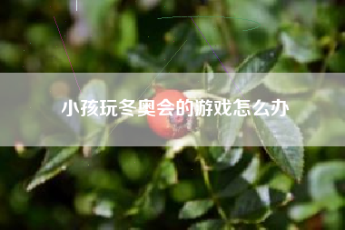 小孩玩冬奥会的游戏怎么办