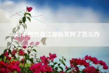 80后不想热血江湖私发网了怎么办