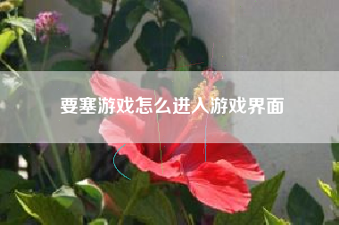 要塞游戏怎么进入游戏界面
