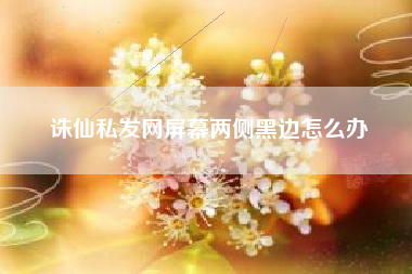 诛仙私发网屏幕两侧黑边怎么办