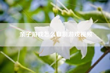 亲子游戏怎么自制游戏视频