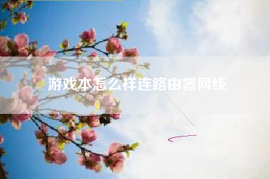 游戏本怎么样连路由器网线