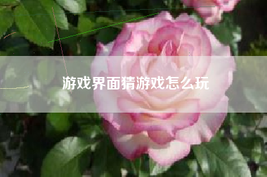 游戏界面猜游戏怎么玩