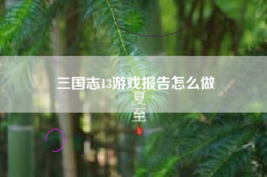 三国志13游戏报告怎么做