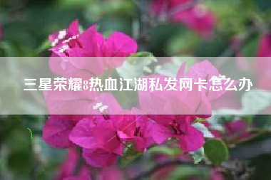 三星荣耀8热血江湖私发网卡怎么办