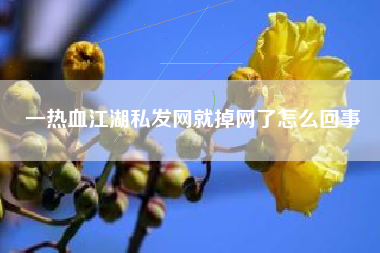 一热血江湖私发网就掉网了怎么回事