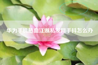 华为手机热血江湖私发网手抖怎么办