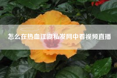 怎么在热血江湖私发网中看视频直播