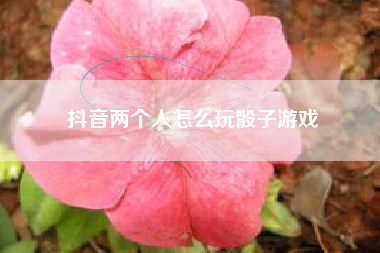 抖音两个人怎么玩骰子游戏
