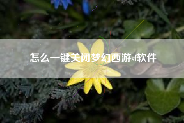怎么一键关闭梦幻西游sf软件