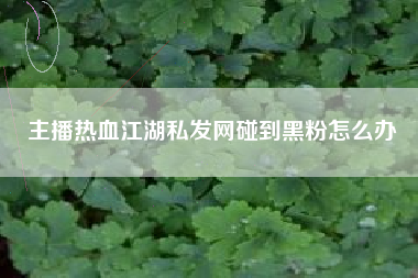 主播热血江湖私发网碰到黑粉怎么办