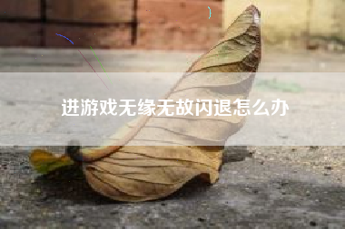 进游戏无缘无故闪退怎么办