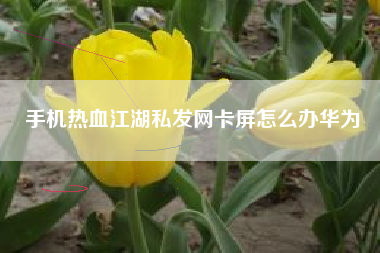 手机热血江湖私发网卡屏怎么办华为
