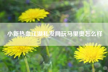 小新热血江湖私发网玩马里奥怎么样