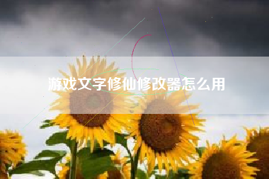 游戏文字修仙修改器怎么用