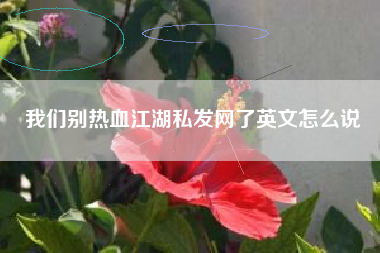 我们别热血江湖私发网了英文怎么说