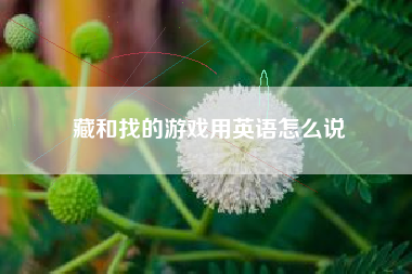 藏和找的游戏用英语怎么说