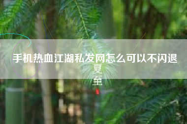 手机热血江湖私发网怎么可以不闪退