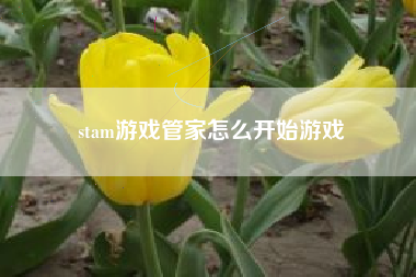 stam游戏管家怎么开始游戏