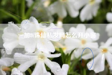 一加8t诛仙私发网怎么开小窗