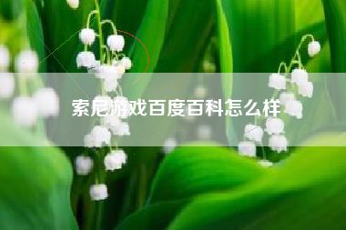 索尼游戏百度百科怎么样