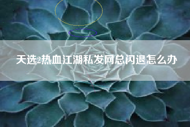 天选2热血江湖私发网总闪退怎么办