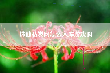 诛仙私发网怎么入库游戏啊