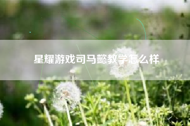 星耀游戏司马懿教学怎么样