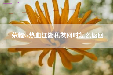 荣耀9x热血江湖私发网时怎么返回