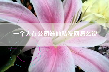 一个人在公司诛仙私发网怎么说