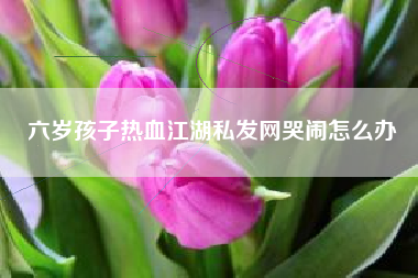 六岁孩子热血江湖私发网哭闹怎么办