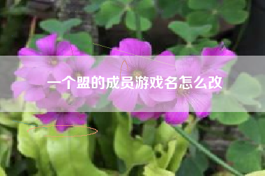 一个盟的成员游戏名怎么改