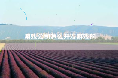 游戏公司怎么开发游戏的