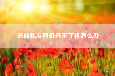 诛仙私发网机开不了机怎么办