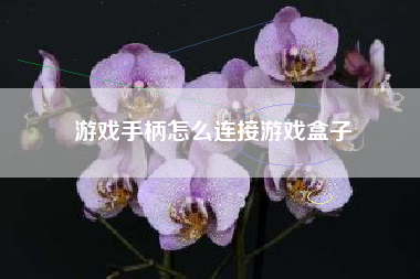 游戏手柄怎么连接游戏盒子