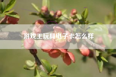 游戏王玩具电子卡怎么样