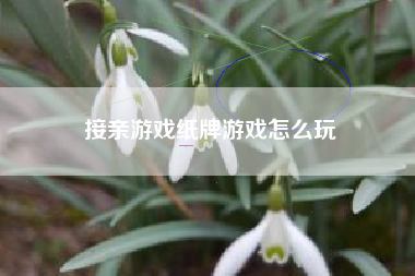 接亲游戏纸牌游戏怎么玩